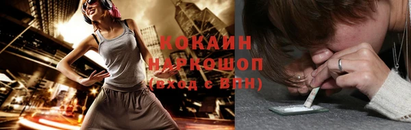 крисы Новодвинск