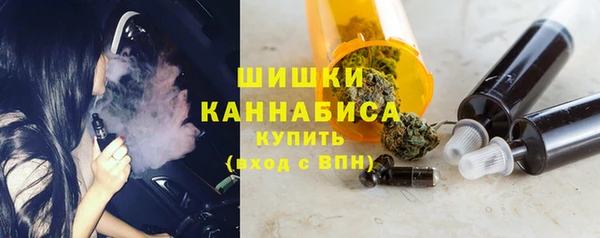 крисы Новодвинск