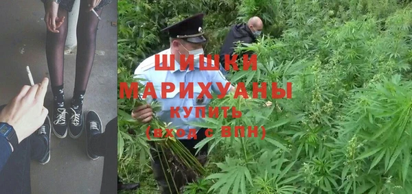 крисы Новодвинск