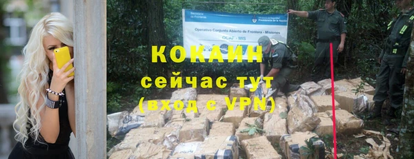 крисы Новодвинск