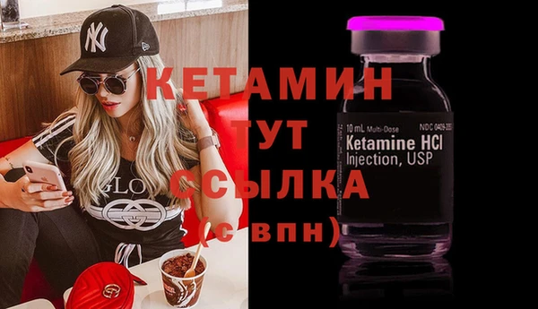 крисы Новодвинск