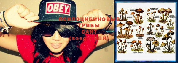 крисы Новодвинск