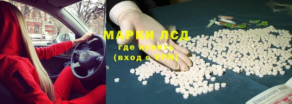 крисы Новодвинск